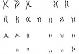 IMAGE: National Human Genome Research Institute